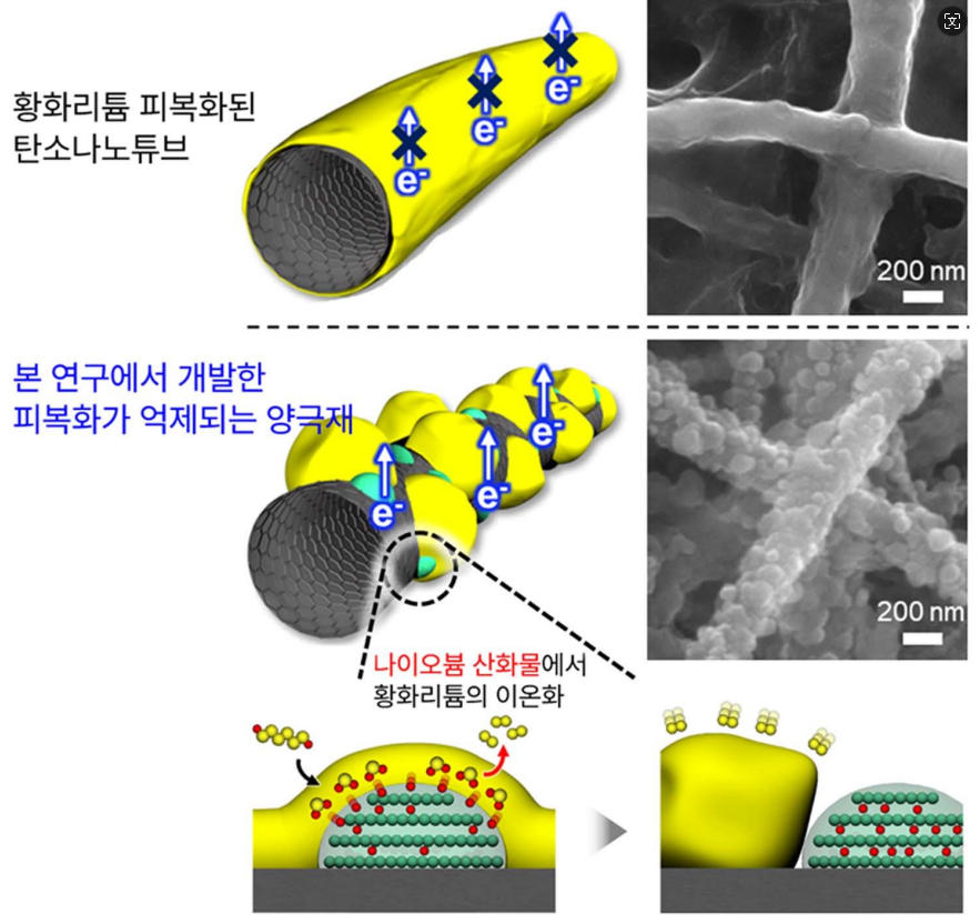 高麗大學(xué)開(kāi)發(fā)下一代長(zhǎng)壽命“高容量”鋰硫電池