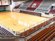 韓國(guó)高麗大學(xué)華亭體育館