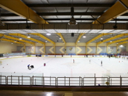 韓國(guó)高麗大學(xué)溜冰場(chǎng)